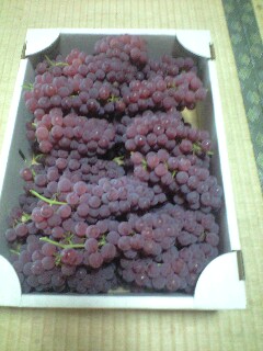 �f���E�F�A