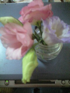 ���Ԃ𒸂���