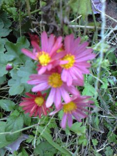 ��̏��e���炢���B