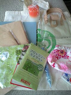 �t���}�험�i