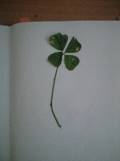 ��̃N���[�o�[