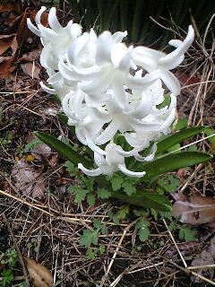 �J������H