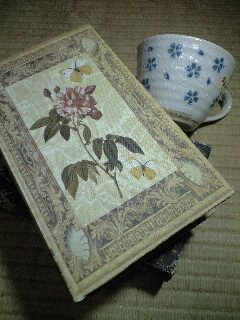 �{�^�̃P�[�X