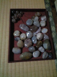 �~�l�����V���[�s���ė����I