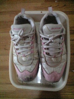 ���܂ł��肪�Ƃ�