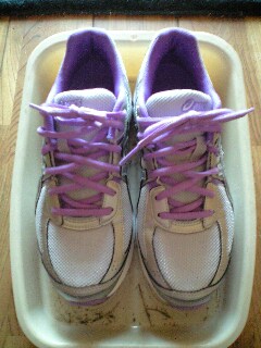 �V�����C