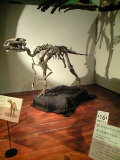 ���ΓW�Ȃ�