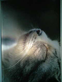 �˂�����