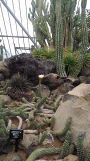 �W���{�e�������s���Ă���