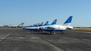 �l���q���