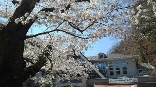 �����R���̍�