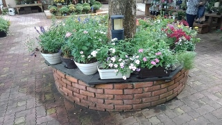 ����Ă�ς�