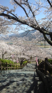 ��@�t�����̍�