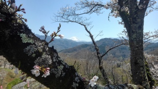 ��@�t�����̍��ƕx�m�R